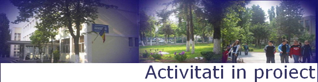 Activitati in proiect