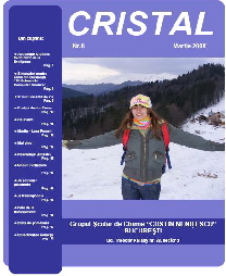 Copy of coperta 8